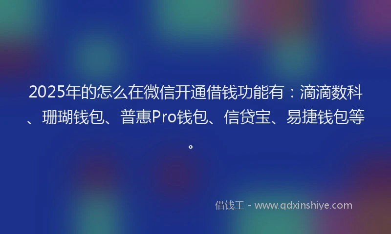 2025年的怎么在微信开通借钱功能有：滴滴数科、珊瑚钱包、普惠Pro钱包、信贷宝、易捷钱包等。