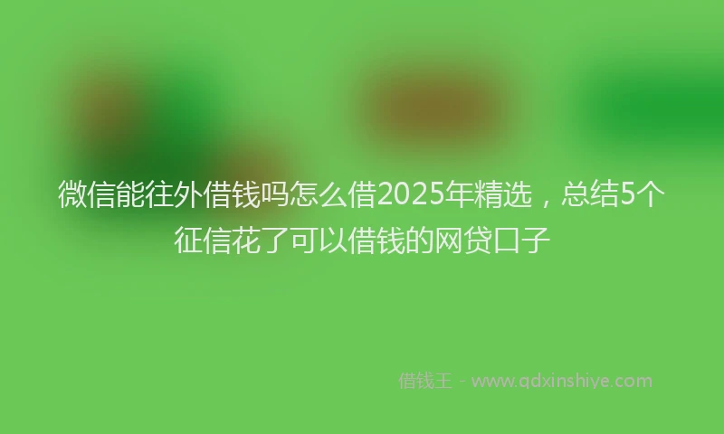微信能往外借钱吗怎么借2025年精选，总结5个征信花了可以借钱的网贷口子