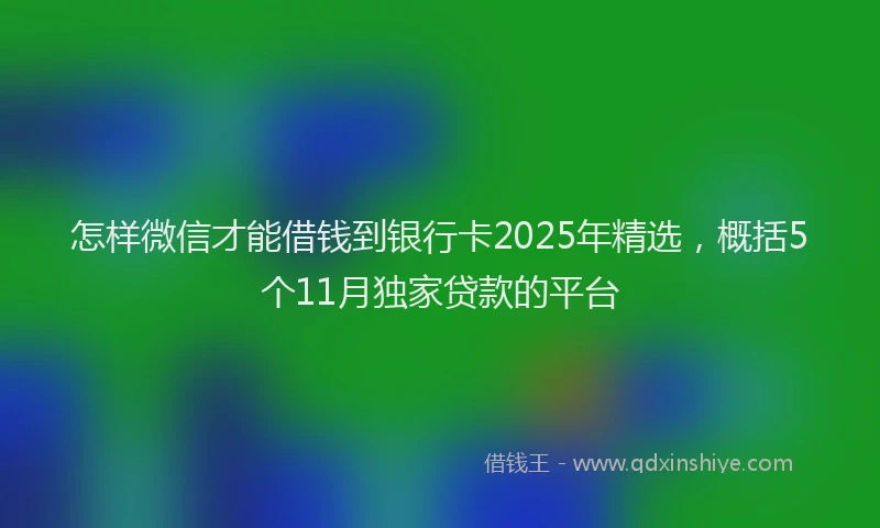 怎样微信才能借钱到银行卡2025年精选，概括5个11月独家贷款的平台