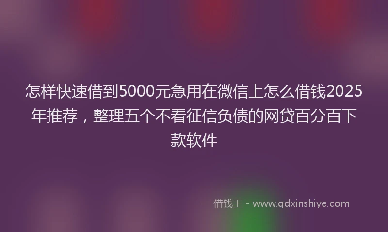 怎样快速借到5000元急用在微信上怎么借钱2025年推荐，整理五个不看征信负债的网贷百分百下款软件