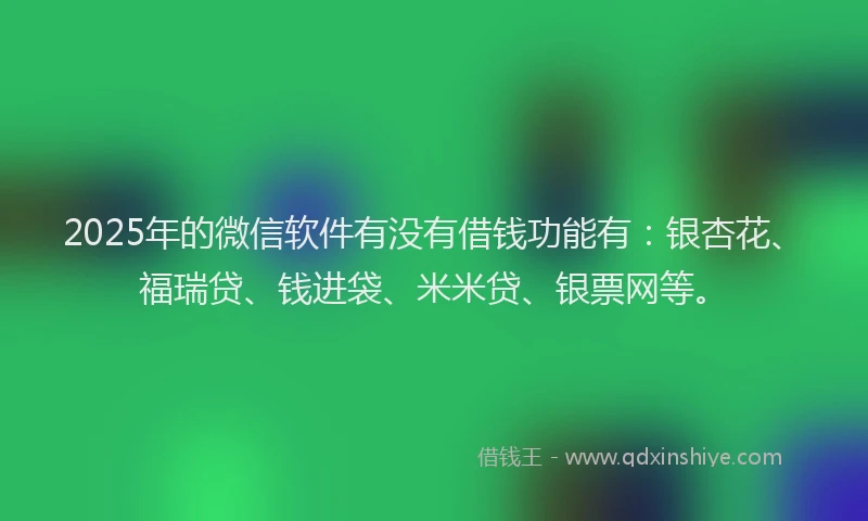 2025年的微信软件有没有借钱功能有：银杏花、福瑞贷、钱进袋、米米贷、银票网等。