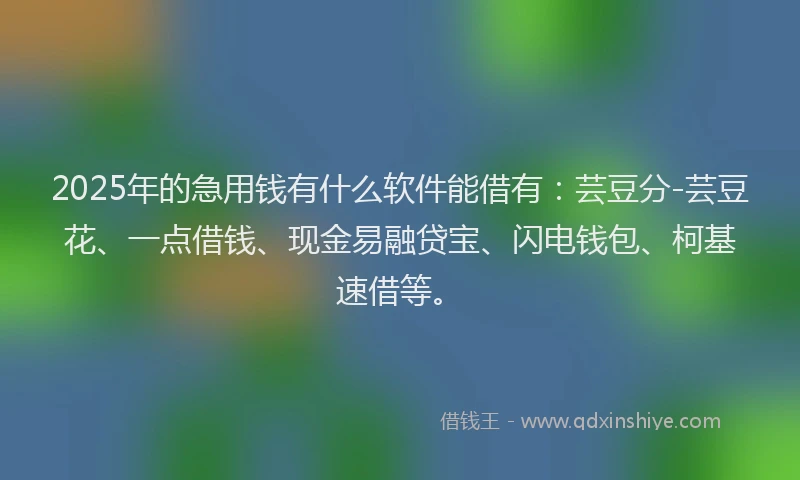 2025年的急用钱有什么软件能借有：芸豆分-芸豆花、一点借钱、现金易融贷宝、闪电钱包、柯基速借等。