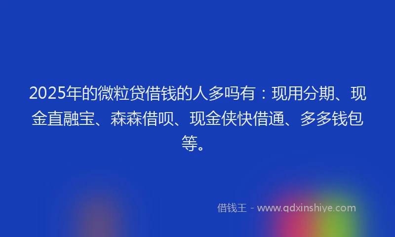 2025年的微粒贷借钱的人多吗有：现用分期、现金直融宝、森森借呗、现金侠快借通、多多钱包等。