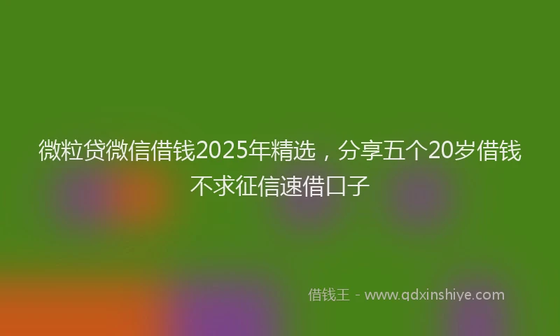 微粒贷微信借钱2025年精选，分享五个20岁借钱不求征信速借口子