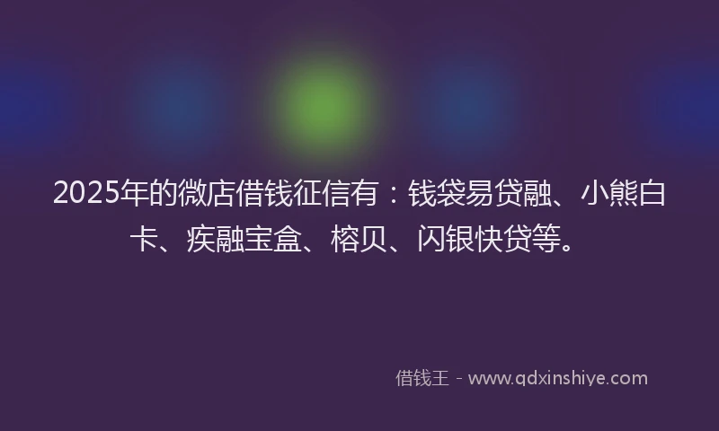 2025年的微店借钱征信有：钱袋易贷融、小熊白卡、疾融宝盒、榕贝、闪银快贷等。