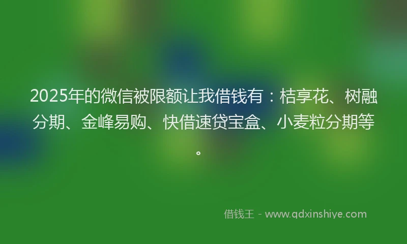 2025年的微信被限额让我借钱有:桔享花、树融分期、金峰易购、快借速贷宝盒、小麦粒分期等。