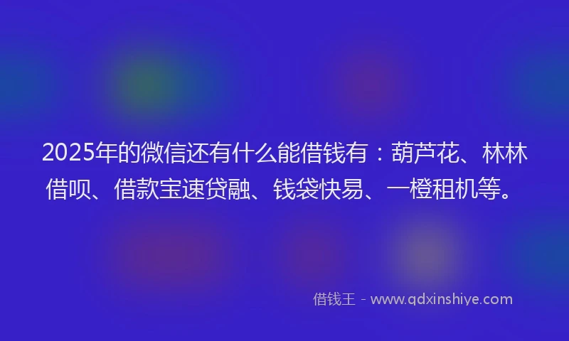2025年的微信还有什么能借钱有：葫芦花、林林借呗、借款宝速贷融、钱袋快易、一橙租机等。