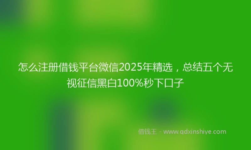 怎么注册借钱平台微信2025年精选，总结五个无视征信黑白100%秒下口子