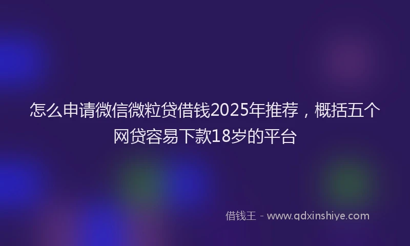 怎么申请微信微粒贷借钱2025年推荐，概括五个网贷容易下款18岁的平台