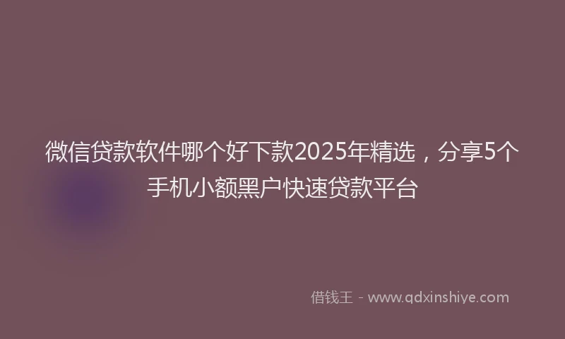 微信贷款软件哪个好下款2025年精选，分享5个手机小额黑户快速贷款平台