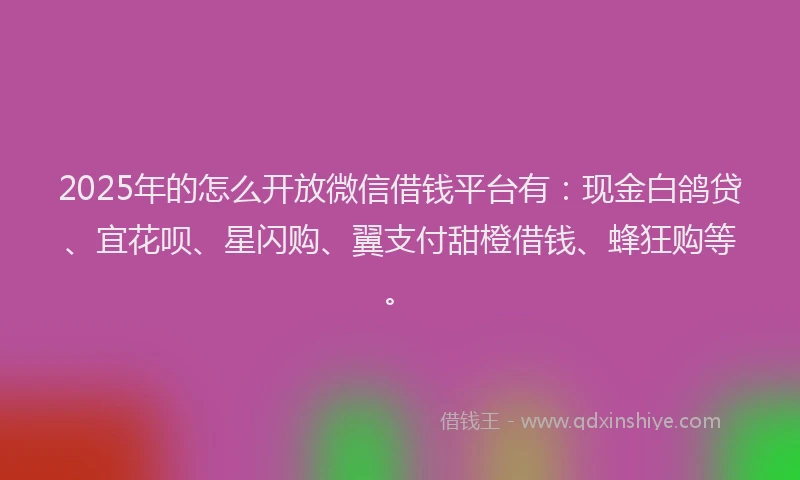 2025年的怎么开放微信借钱平台有：现金白鸽贷、宜花呗、星闪购、翼支付甜橙借钱、蜂狂购等。