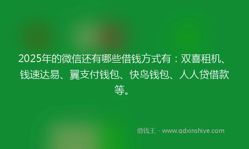 2025年的微信还有哪些借钱方式有：双喜租机、钱速达易、翼支付钱包、快鸟钱包、人人贷借款等。