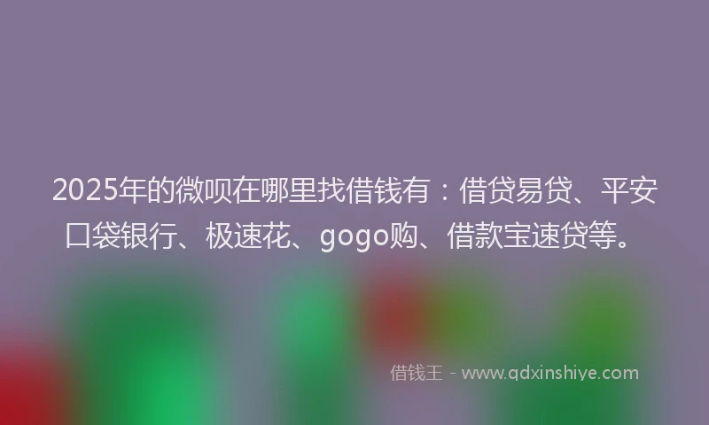 2025年的微呗在哪里找借钱有：借贷易贷、平安口袋银行、极速花、gogo购、借款宝速贷等。