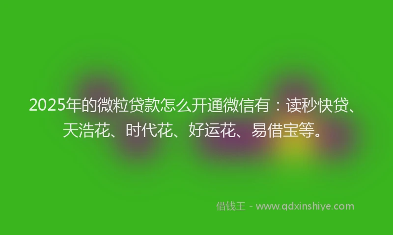 2025年的微粒贷款怎么开通微信有：读秒快贷、天浩花、时代花、好运花、易借宝等。