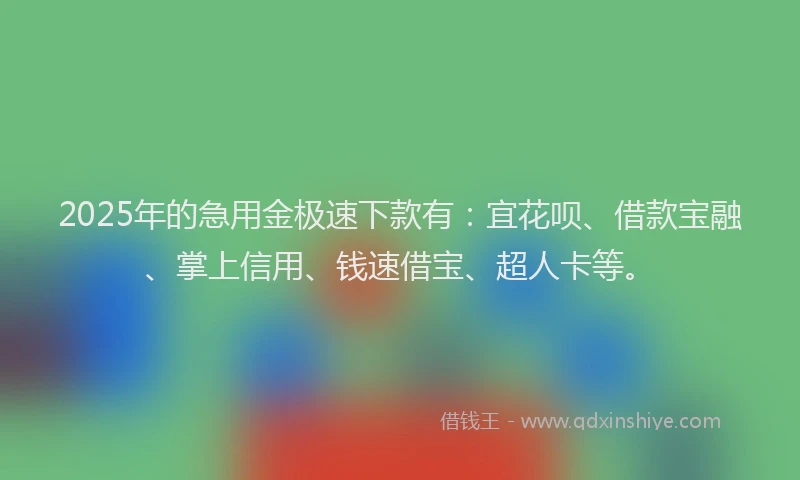 2025年的急用金极速下款有：宜花呗、借款宝融、掌上信用、钱速借宝、超人卡等。