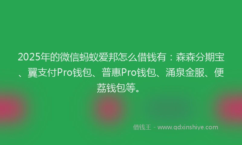 2025年的微信蚂蚁爱邦怎么借钱有：森森分期宝、翼支付Pro钱包、普惠Pro钱包、涌泉金服、便荔钱包等。