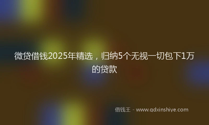 微贷借钱2025年精选，归纳5个无视一切包下1万的贷款