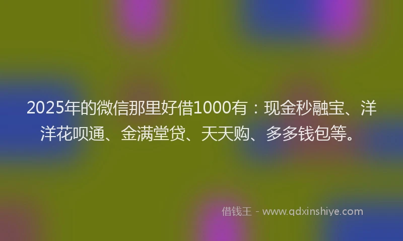 2025年的微信那里好借1000有：现金秒融宝、洋洋花呗通、金满堂贷、天天购、多多钱包等。