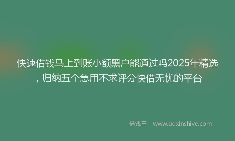 快速借钱马上到账小额黑户能通过吗2025年精选，归纳五个急用不求评分快借无忧的平台