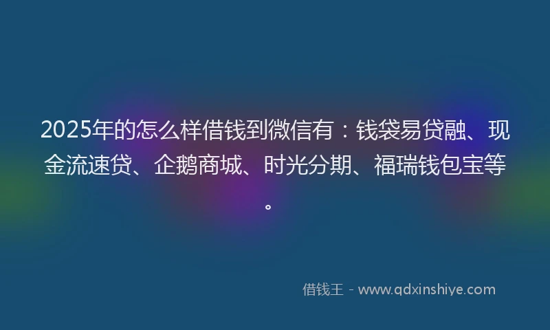 2025年的怎么样借钱到微信有：钱袋易贷融、现金流速贷、企鹅商城、时光分期、福瑞钱包宝等。
