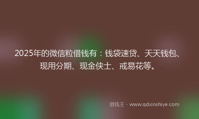 2025年的微信粒借钱有：钱袋速贷、天天钱包、现用分期、现金侠士、戒易花等。