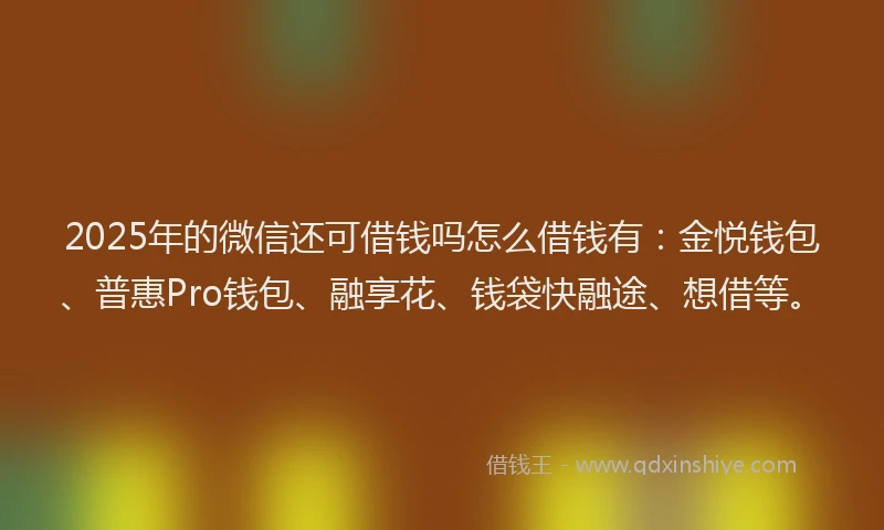 2025年的微信还可借钱吗怎么借钱有：金悦钱包、普惠Pro钱包、融享花、钱袋快融途、想借等。