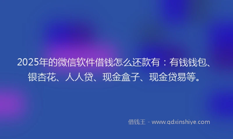 2025年的微信软件借钱怎么还款有：有钱钱包、银杏花、人人贷、现金盒子、现金贷易等。