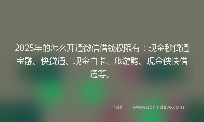 2025年的怎么开通微信借钱权限有：现金秒贷通宝融、快贷通、现金白卡、旅游购、现金侠快借通等。