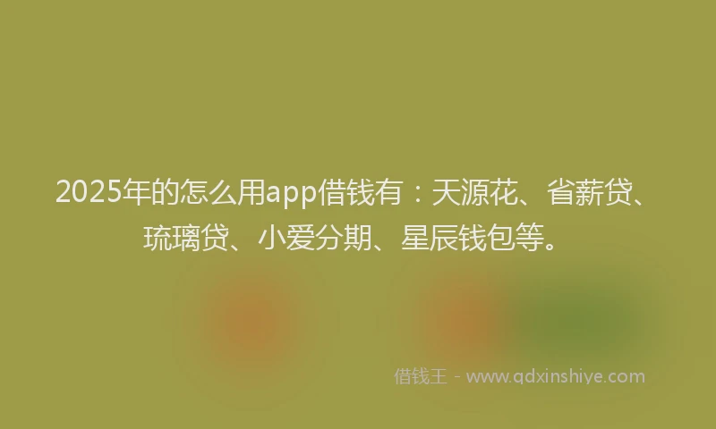 2025年的怎么用app借钱有：天源花、省薪贷、琉璃贷、小爱分期、星辰钱包等。