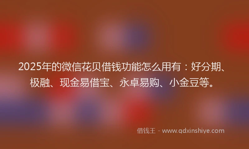 2025年的微信花贝借钱功能怎么用有：好分期、极融、现金易借宝、永卓易购、小金豆等。