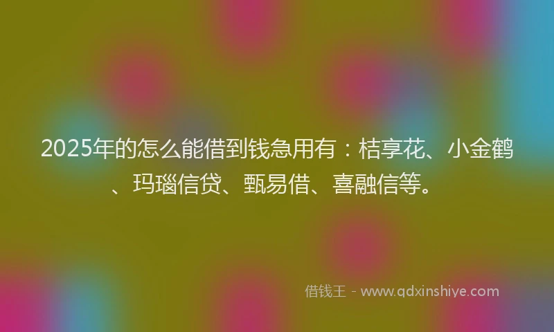 2025年的怎么能借到钱急用有：桔享花、小金鹤、玛瑙信贷、甄易借、喜融信等。