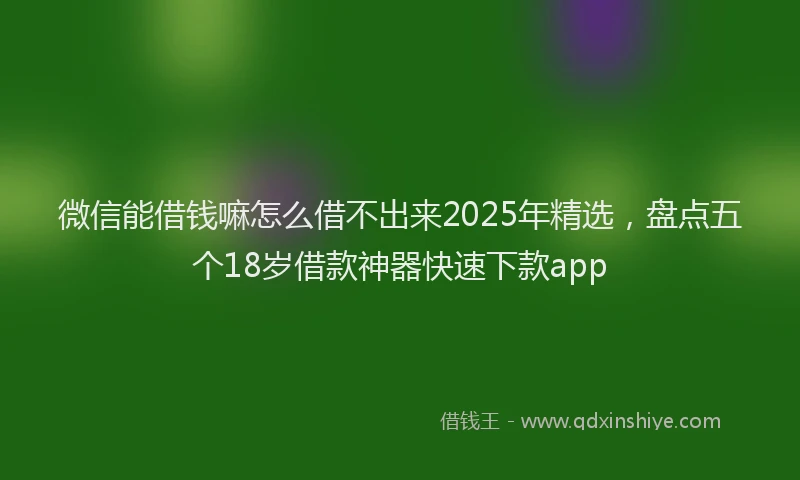 微信能借钱嘛怎么借不出来2025年精选，盘点五个18岁借款神器快速下款app