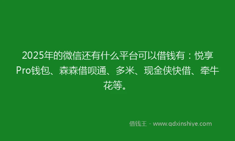 2025年的微信还有什么平台可以借钱有：悦享Pro钱包、森森借呗通、多米、现金侠快借、牵牛花等。