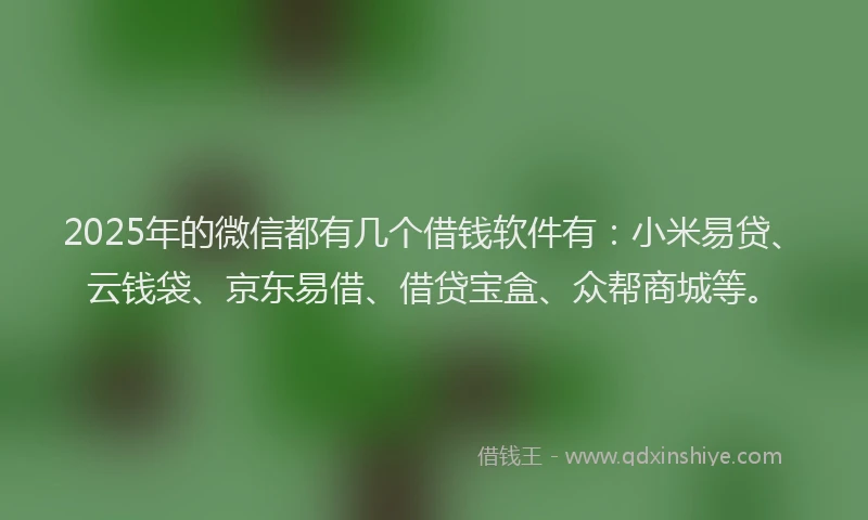 2025年的微信都有几个借钱软件有：小米易贷、云钱袋、京东易借、借贷宝盒、众帮商城等。