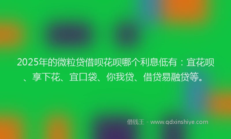2025年的微粒贷借呗花呗哪个利息低有：宜花呗、享下花、宜口袋、你我贷、借贷易融贷等。