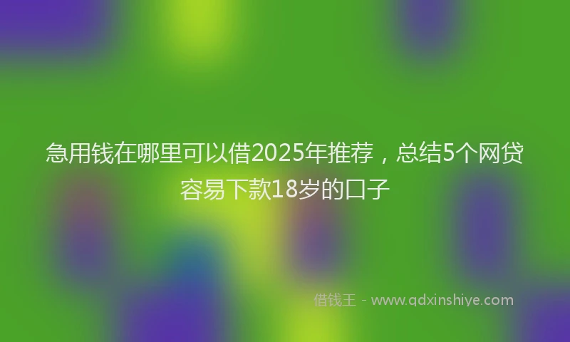 急用钱在哪里可以借2025年推荐，总结5个网贷容易下款18岁的口子