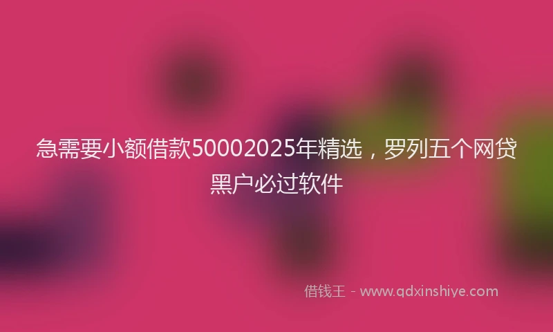 急需要小额借款50002025年精选，罗列五个网贷黑户必过软件