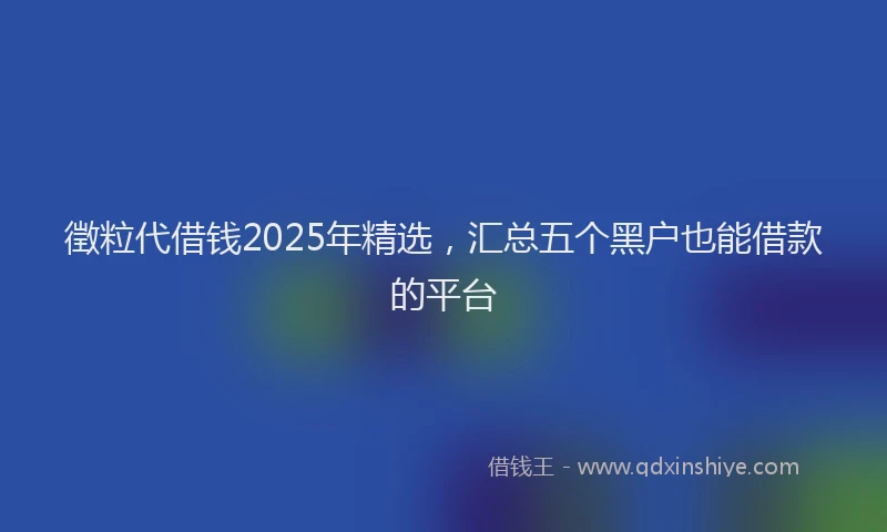 徵粒代借钱2025年精选，汇总五个黑户也能借款的平台