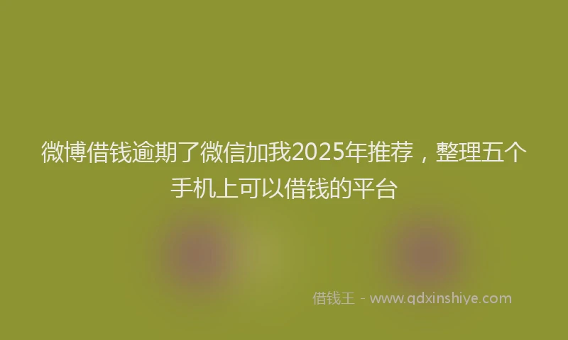 微博借钱逾期了微信加我2025年推荐，整理五个手机上可以借钱的平台