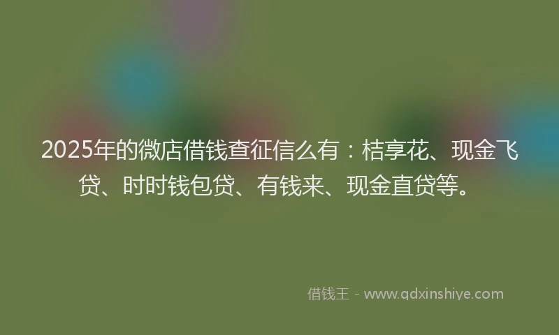 2025年的微店借钱查征信么有：桔享花、现金飞贷、时时钱包贷、有钱来、现金直贷等。