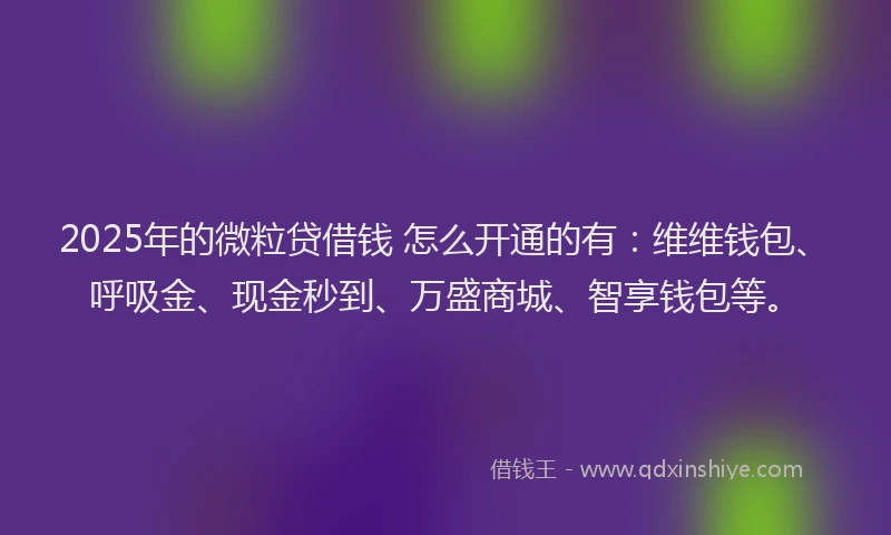 2025年的微粒贷借钱 怎么开通的有：维维钱包、呼吸金、现金秒到、万盛商城、智享钱包等。