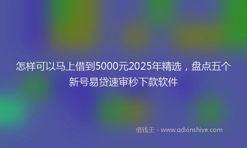 怎样可以马上借到5000元2025年精选，盘点五个新号易贷速审秒下款软件