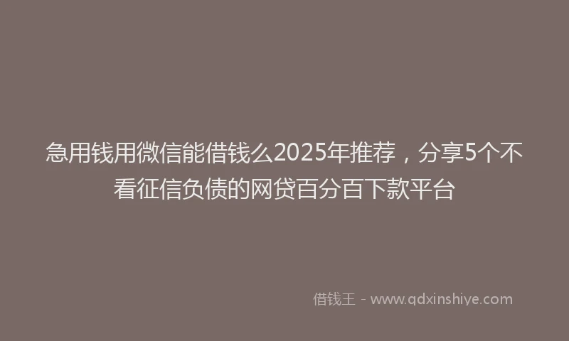 急用钱用微信能借钱么2025年推荐，分享5个不看征信负债的网贷百分百下款平台