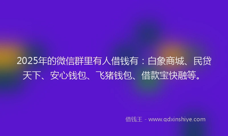 2025年的微信群里有人借钱有：白象商城、民贷天下、安心钱包、飞猪钱包、借款宝快融等。