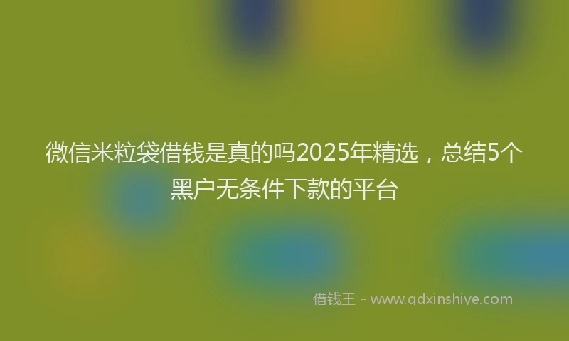 微信米粒袋借钱是真的吗2025年精选，总结5个黑户无条件下款的平台
