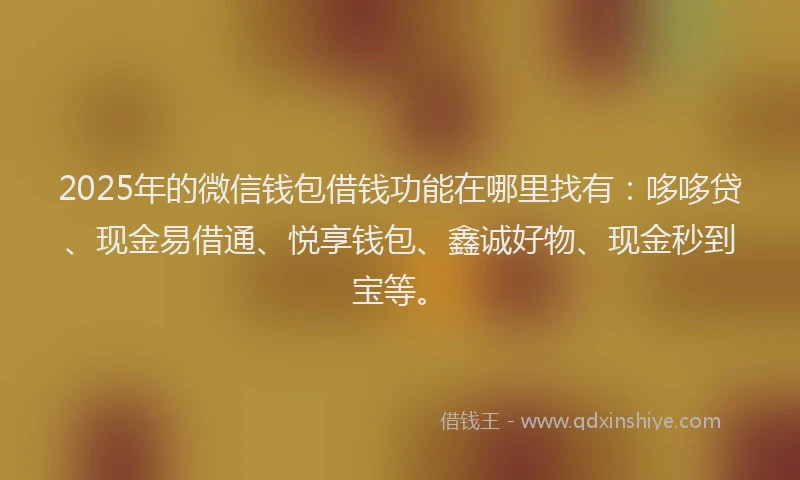 2025年的微信钱包借钱功能在哪里找有：哆哆贷、现金易借通、悦享钱包、鑫诚好物、现金秒到宝等。