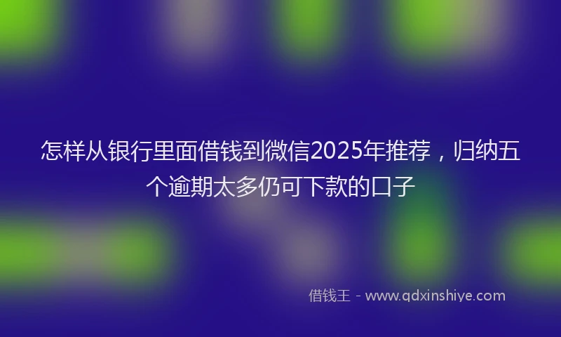 怎样从银行里面借钱到微信2025年推荐，归纳五个逾期太多仍可下款的口子