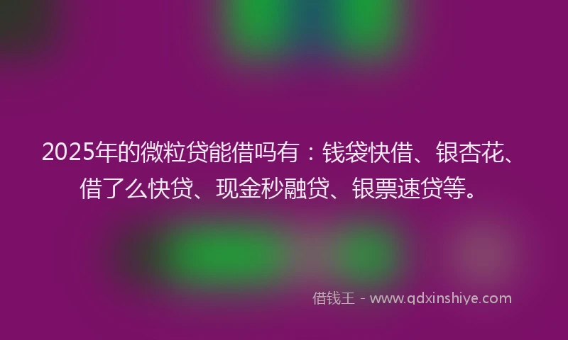 2025年的微粒贷能借吗有：钱袋快借、银杏花、借了么快贷、现金秒融贷、银票速贷等。