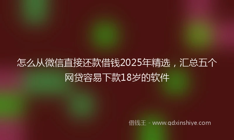 怎么从微信直接还款借钱2025年精选，汇总五个网贷容易下款18岁的软件