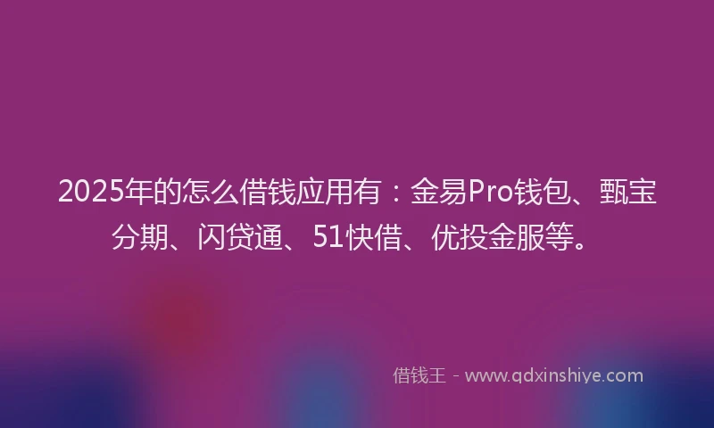 2025年的怎么借钱应用有：金易Pro钱包、甄宝分期、闪贷通、51快借、优投金服等。